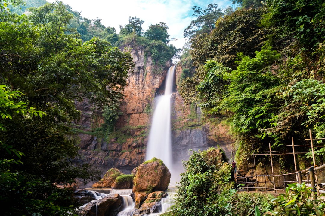 Amazon Rainforest Expedition